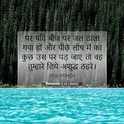 Picture 07 - लैव्यव्यवस्था 11:38 HINIRV - पर यदि बीज पर जल - Bible Verse Picture