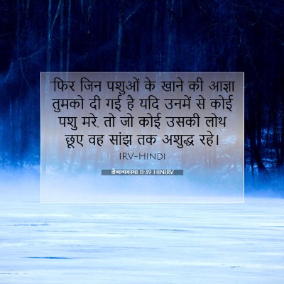 Picture 07 - लैव्यव्यवस्था 11:39 HINIRV - “फिर जिन पशुओं के - Bible Verse Picture