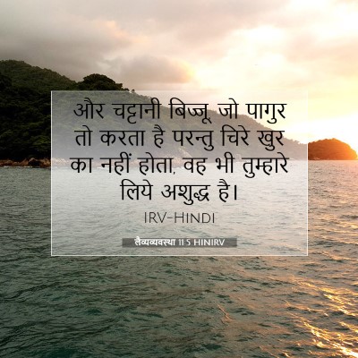 Picture 07 - लैव्यव्यवस्था 11:5 HINIRV - और चट्टानी बिज्जू, - Bible Verse Picture