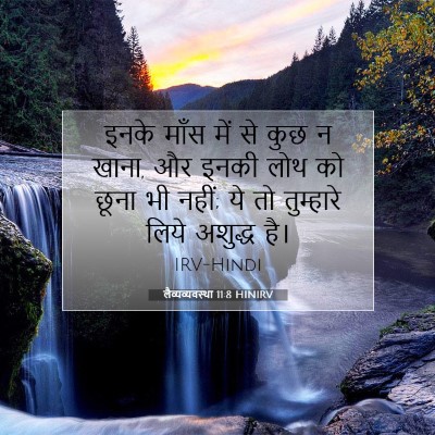 Picture 07 - लैव्यव्यवस्था 11:8 HINIRV - इनके माँस में से - Bible Verse Picture