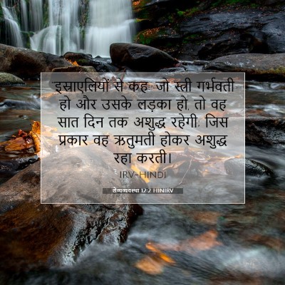 Picture 07 - लैव्यव्यवस्था 12:2 HINIRV - “इस्राएलियों से - Bible Verse Picture