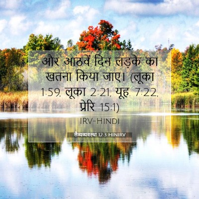 Picture 07 - लैव्यव्यवस्था 12:3 HINIRV - और आठवें दिन लड़के - Bible Verse Picture
