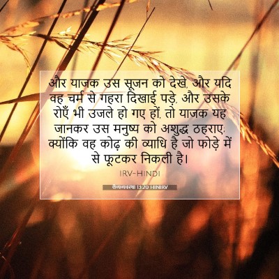 Picture 07 - लैव्यव्यवस्था 13:20 HINIRV - और याजक उस सूजन को - Bible Verse Picture