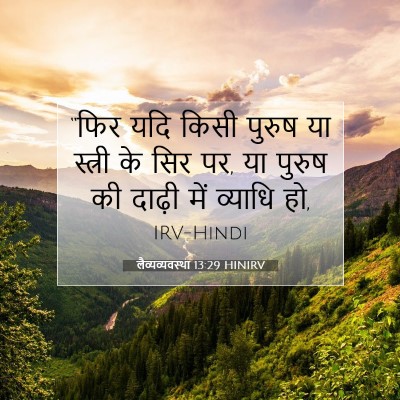 Picture 07 - लैव्यव्यवस्था 13:29 HINIRV - “फिर यदि किसी - Bible Verse Picture