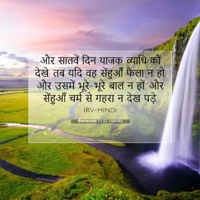 Picture 07 - लैव्यव्यवस्था 13:32 HINIRV - और सातवें दिन याजक - Bible Verse Picture