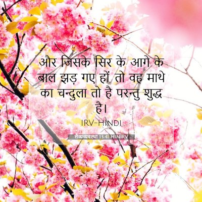Picture 07 - लैव्यव्यवस्था 13:41 HINIRV - और जिसके सिर के आगे - Bible Verse Picture