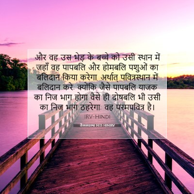 Picture 07 - लैव्यव्यवस्था 14:13 HINIRV - और वह उस भेड़ के - Bible Verse Picture