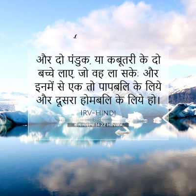 Picture 07 - लैव्यव्यवस्था 14:22 HINIRV - और दो पंडुक, या - Bible Verse Picture