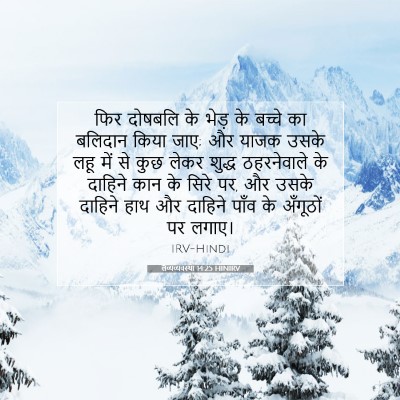 Picture 07 - लैव्यव्यवस्था 14:25 HINIRV - फिर दोषबलि के भेड़ - Bible Verse Picture