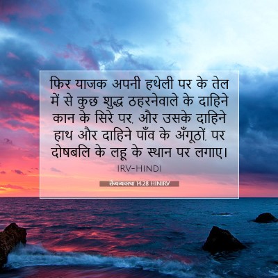 Picture 07 - लैव्यव्यवस्था 14:28 HINIRV - फिर याजक अपनी - Bible Verse Picture