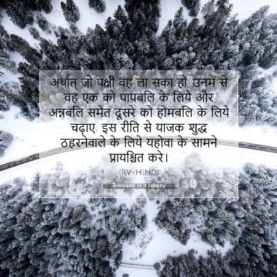 Picture 07 - लैव्यव्यवस्था 14:31 HINIRV - अर्थात् जो पक्षी - Bible Verse Picture