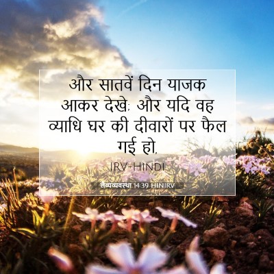 Picture 07 - लैव्यव्यवस्था 14:39 HINIRV - और सातवें दिन याजक - Bible Verse Picture