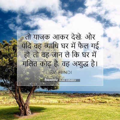 Picture 07 - लैव्यव्यवस्था 14:44 HINIRV - तो याजक आकर देखे; - Bible Verse Picture