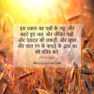 Picture 07 - लैव्यव्यवस्था 14:52 HINIRV - इस प्रकार वह पक्षी - Bible Verse Picture