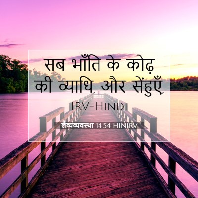 Picture 07 - लैव्यव्यवस्था 14:54 HINIRV - सब भाँति के कोढ़ की - Bible Verse Picture