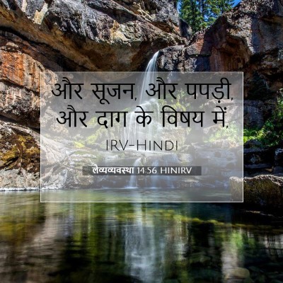 Picture 07 - लैव्यव्यवस्था 14:56 HINIRV - और सूजन, और पपड़ी, - Bible Verse Picture