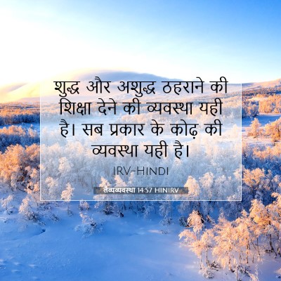 Picture 07 - लैव्यव्यवस्था 14:57 HINIRV - शुद्ध और अशुद्ध - Bible Verse Picture