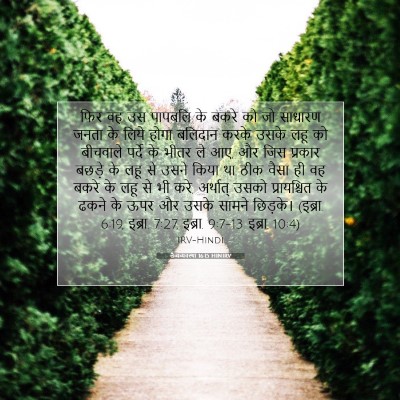 Picture 07 - लैव्यव्यवस्था 16:15 HINIRV - फिर वह उस पापबलि के - Bible Verse Picture