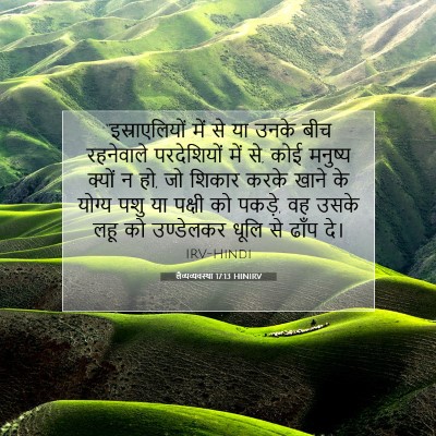 Picture 07 - लैव्यव्यवस्था 17:13 HINIRV - “इस्राएलियों में - Bible Verse Picture