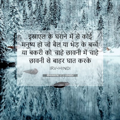 Picture 07 - लैव्यव्यवस्था 17:3 HINIRV - इस्राएल के घराने - Bible Verse Picture