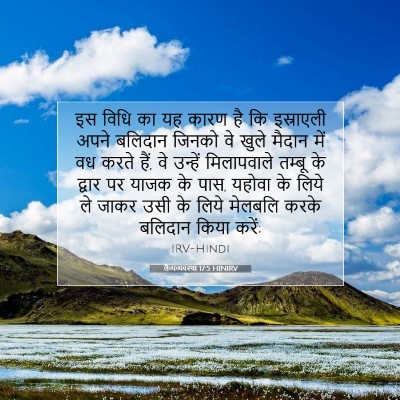 Picture 07 - लैव्यव्यवस्था 17:5 HINIRV - इस विधि का यह कारण - Bible Verse Picture