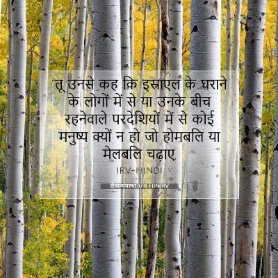 Picture 07 - लैव्यव्यवस्था 17:8 HINIRV - “तू उनसे कह कि - Bible Verse Picture
