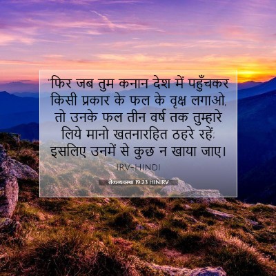 Picture 07 - लैव्यव्यवस्था 19:23 HINIRV - “फिर जब तुम कनान - Bible Verse Picture
