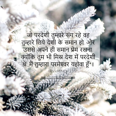 Picture 07 - लैव्यव्यवस्था 19:34 HINIRV - जो परदेशी - Bible Verse Picture