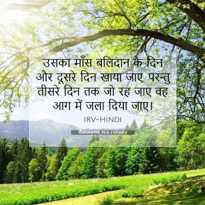 Picture 07 - लैव्यव्यवस्था 19:6 HINIRV - उसका माँस बलिदान - Bible Verse Picture