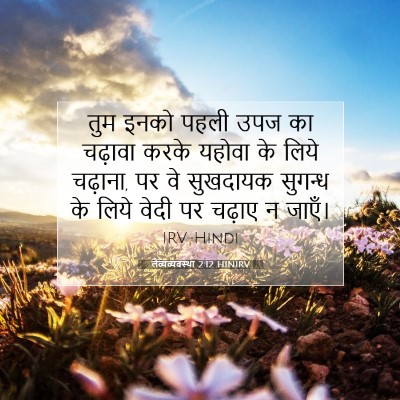Picture 07 - लैव्यव्यवस्था 2:12 HINIRV - तुम इनको पहली उपज - Bible Verse Picture
