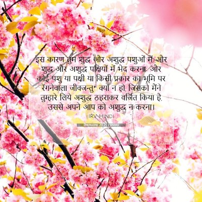 Picture 07 - लैव्यव्यवस्था 20:25 HINIRV - इस कारण तुम शुद्ध - Bible Verse Picture