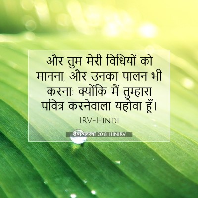 Picture 07 - लैव्यव्यवस्था 20:8 HINIRV - और तुम मेरी - Bible Verse Picture