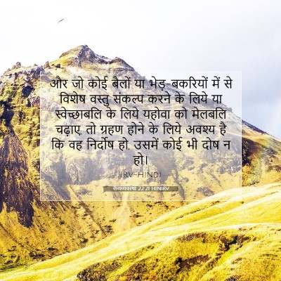 Picture 07 - लैव्यव्यवस्था 22:21 HINIRV - और जो कोई बैलों या - Bible Verse Picture