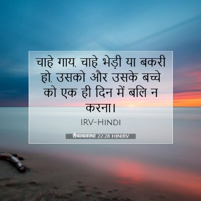 Picture 07 - लैव्यव्यवस्था 22:28 HINIRV - चाहे गाय, चाहे - Bible Verse Picture
