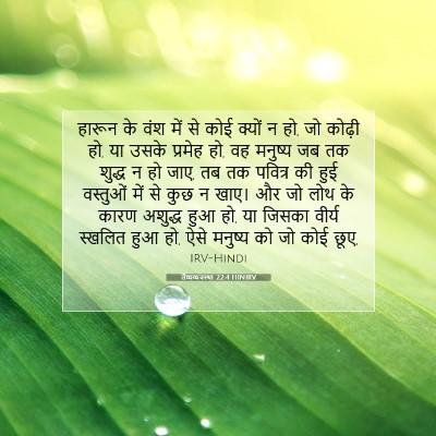 Picture 07 - लैव्यव्यवस्था 22:4 HINIRV - हारून के वंश में से - Bible Verse Picture