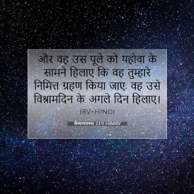 Picture 07 - लैव्यव्यवस्था 23:11 HINIRV - और वह उस पूले को - Bible Verse Picture