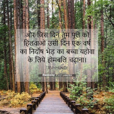 Picture 07 - लैव्यव्यवस्था 23:12 HINIRV - और जिस दिन तुम पूले - Bible Verse Picture