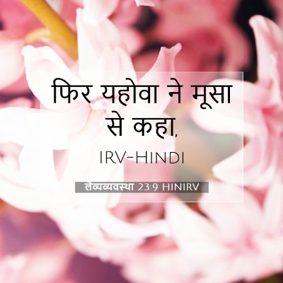 Picture 07 - लैव्यव्यवस्था 23:9 HINIRV - फिर यहोवा ने मूसा - Bible Verse Picture