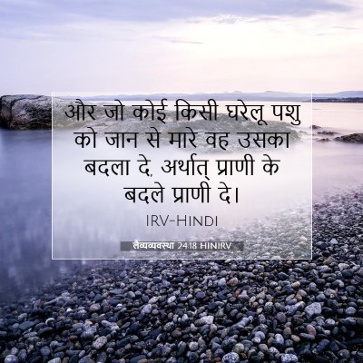 Picture 07 - लैव्यव्यवस्था 24:18 HINIRV - और जो कोई किसी - Bible Verse Picture