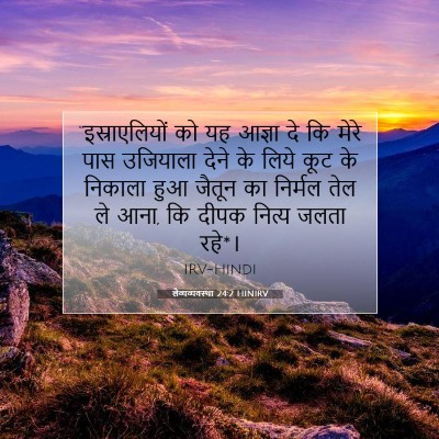 Picture 07 - लैव्यव्यवस्था 24:2 HINIRV - “इस्राएलियों को - Bible Verse Picture