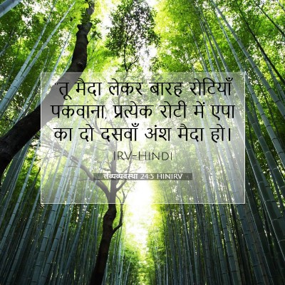 Picture 07 - लैव्यव्यवस्था 24:5 HINIRV - “तू मैदा लेकर बारह - Bible Verse Picture