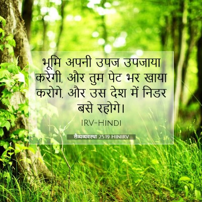 Picture 07 - लैव्यव्यवस्था 25:19 HINIRV - भूमि अपनी उपज - Bible Verse Picture