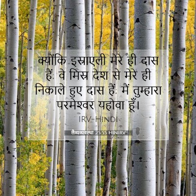 Picture 07 - लैव्यव्यवस्था 25:55 HINIRV - क्योंकि इस्राएली - Bible Verse Picture