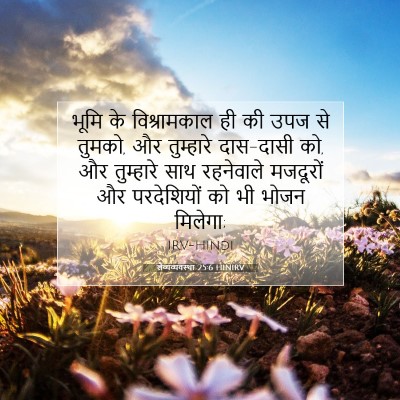 Picture 07 - लैव्यव्यवस्था 25:6 HINIRV - भूमि के - Bible Verse Picture