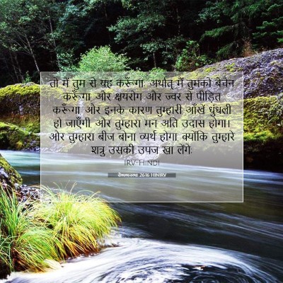 Picture 07 - लैव्यव्यवस्था 26:16 HINIRV - तो मैं तुम से यह - Bible Verse Picture