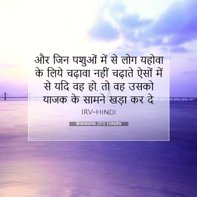 Picture 07 - लैव्यव्यवस्था 27:11 HINIRV - और जिन पशुओं में से - Bible Verse Picture