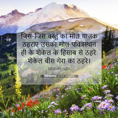 Picture 07 - लैव्यव्यवस्था 27:25 HINIRV - जिस-जिस वस्तु का - Bible Verse Picture