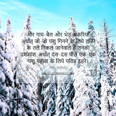 Picture 07 - लैव्यव्यवस्था 27:32 HINIRV - और गाय-बैल और - Bible Verse Picture