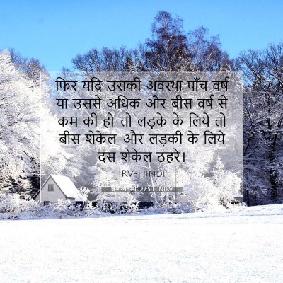 Picture 07 - लैव्यव्यवस्था 27:5 HINIRV - फिर यदि उसकी - Bible Verse Picture