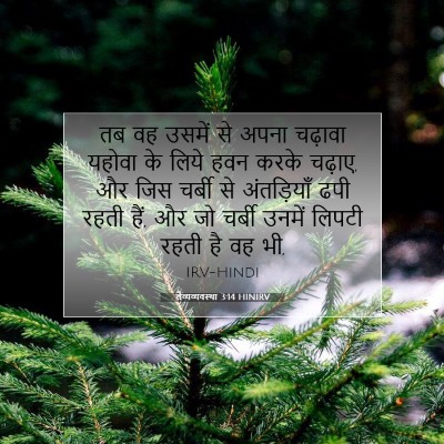 Picture 07 - लैव्यव्यवस्था 3:14 HINIRV - तब वह उसमें से अपना - Bible Verse Picture